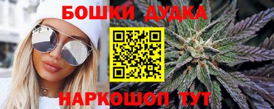 индика Жуковский