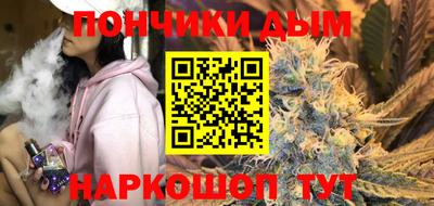 индика Жуковский
