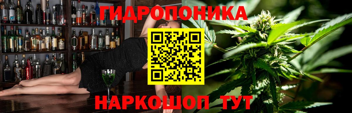 Бошки Шишки VHQ Лянтор